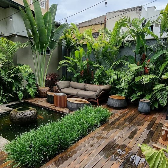 Tropical-style front yard